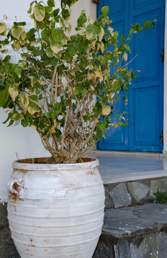 Villa Georgia Vasilikos  Bagian luar foto